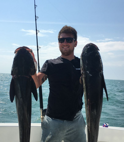 Fish Of The Day: Morehead City Finest Cobia